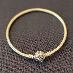 Pandora silver limited edition bangle